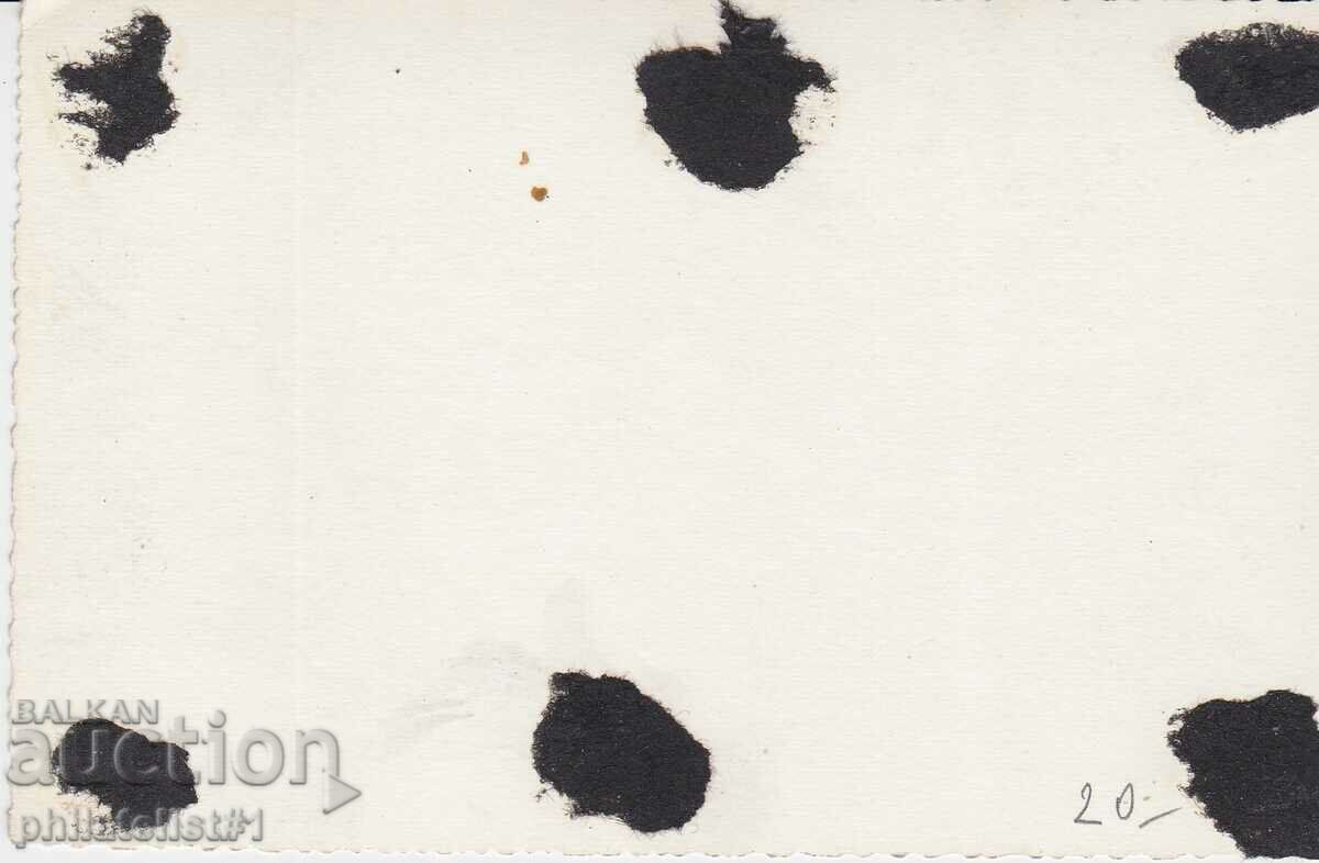 CARD BREAKDOWN - CIRCA 1930 VIEW with price 20.00 BGN | € 10.23 CARD BREAKDOWN - CIRCA 1930 VIEW with price 20.00 BGN | € 10.23