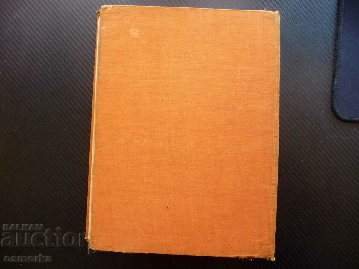 Pan Tadeusz Adam Mickiewicz Last suicide in Lithuania - 6 Pan Tadeusz Adam Mickiewicz Last suicide in Lithuania - 6