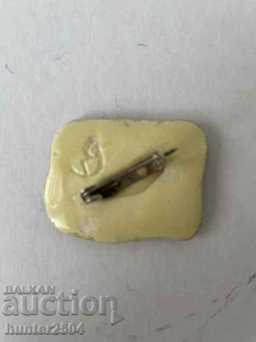 Brooch-old, 3,/2 cm with price 19.95 BGN | € 10.20 Brooch-old, 3,/2 cm with price 19.95 BGN | € 10.20