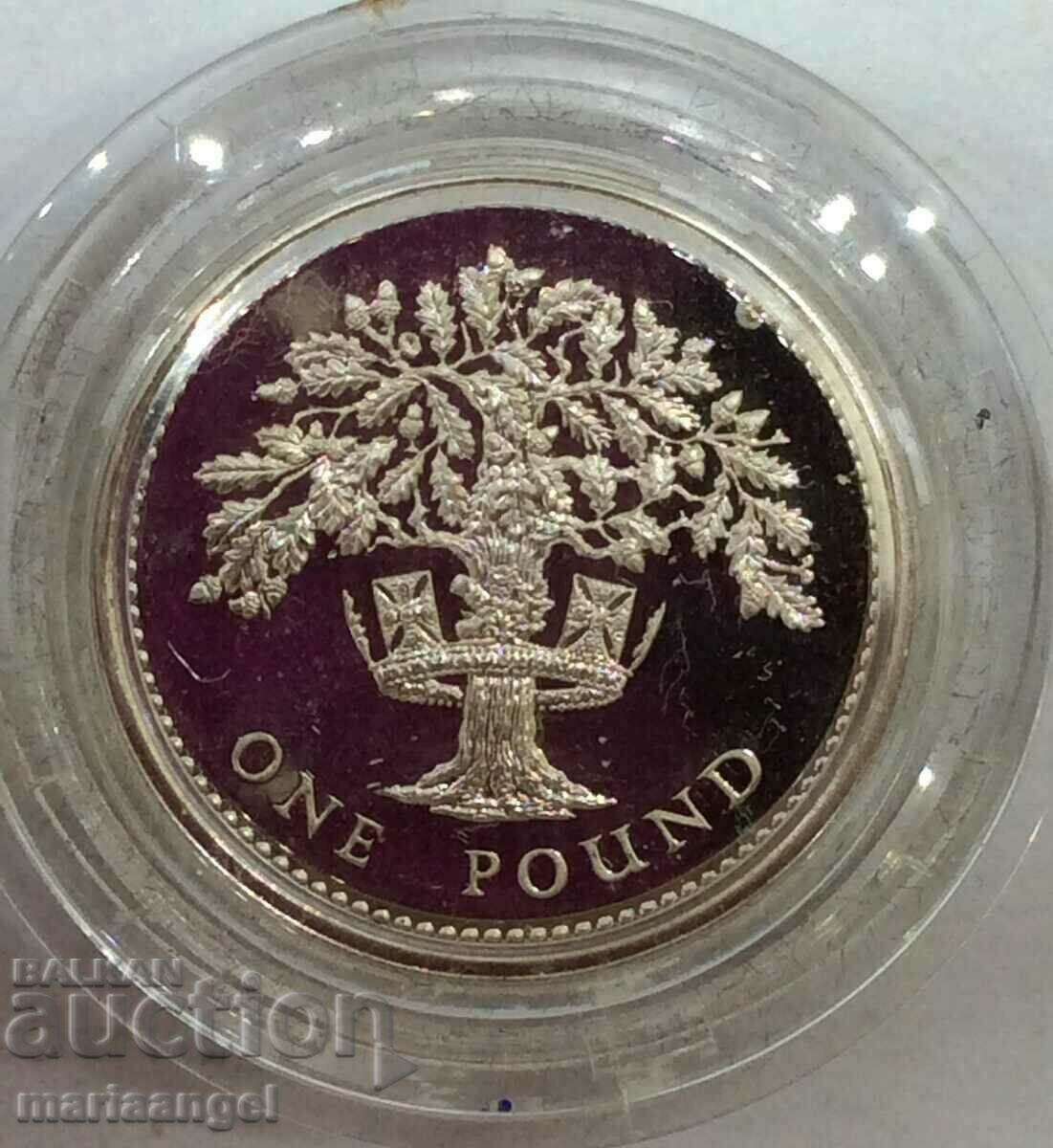 Great Britain 1 pound 1987 9.5g capsule box PROOF