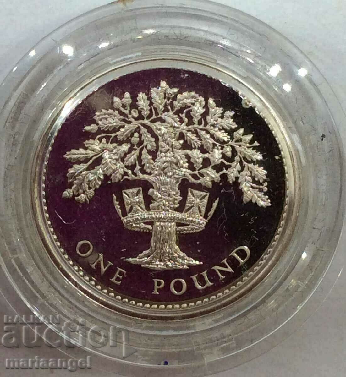 Marea Britanie 1 pound 1987 9,5g cutie capsule PROOF