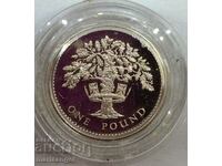 Great Britain 1 pound 1987 9.5g capsule box PROOF