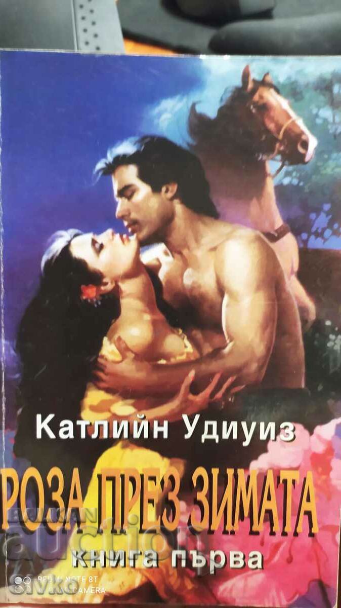 Ένα τριαντάφυλλο τον χειμώνα από την Kathleen Woodwise