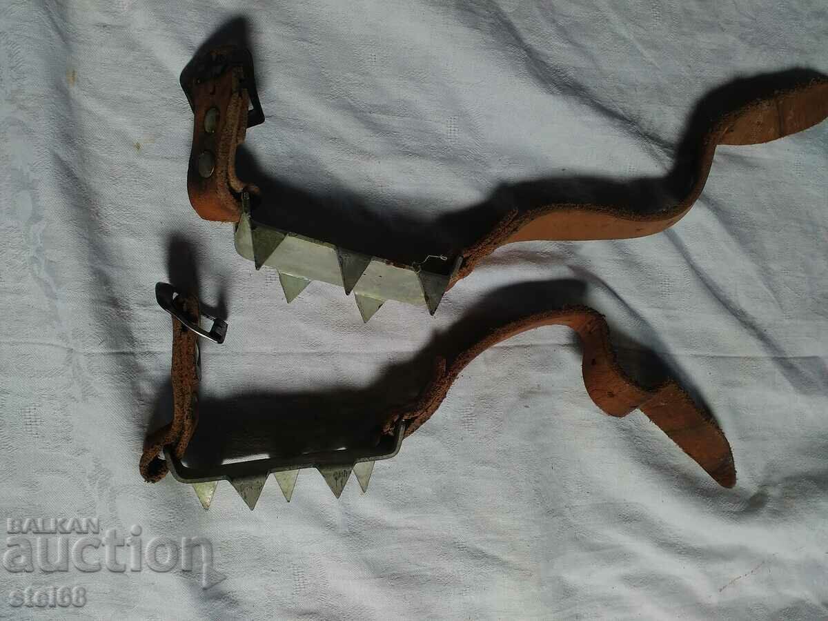 Аукцион АЛПИНИСКИ КОТКИ Аукцион АЛПИНИСКИ КОТКИ