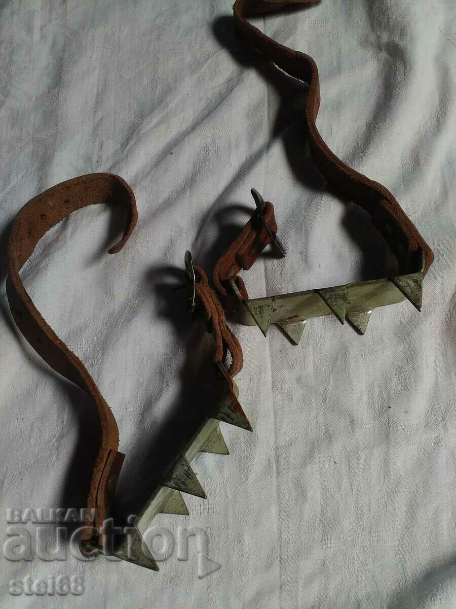 PISICI ALPINE cu preț 15.00 BGN | € 7.67