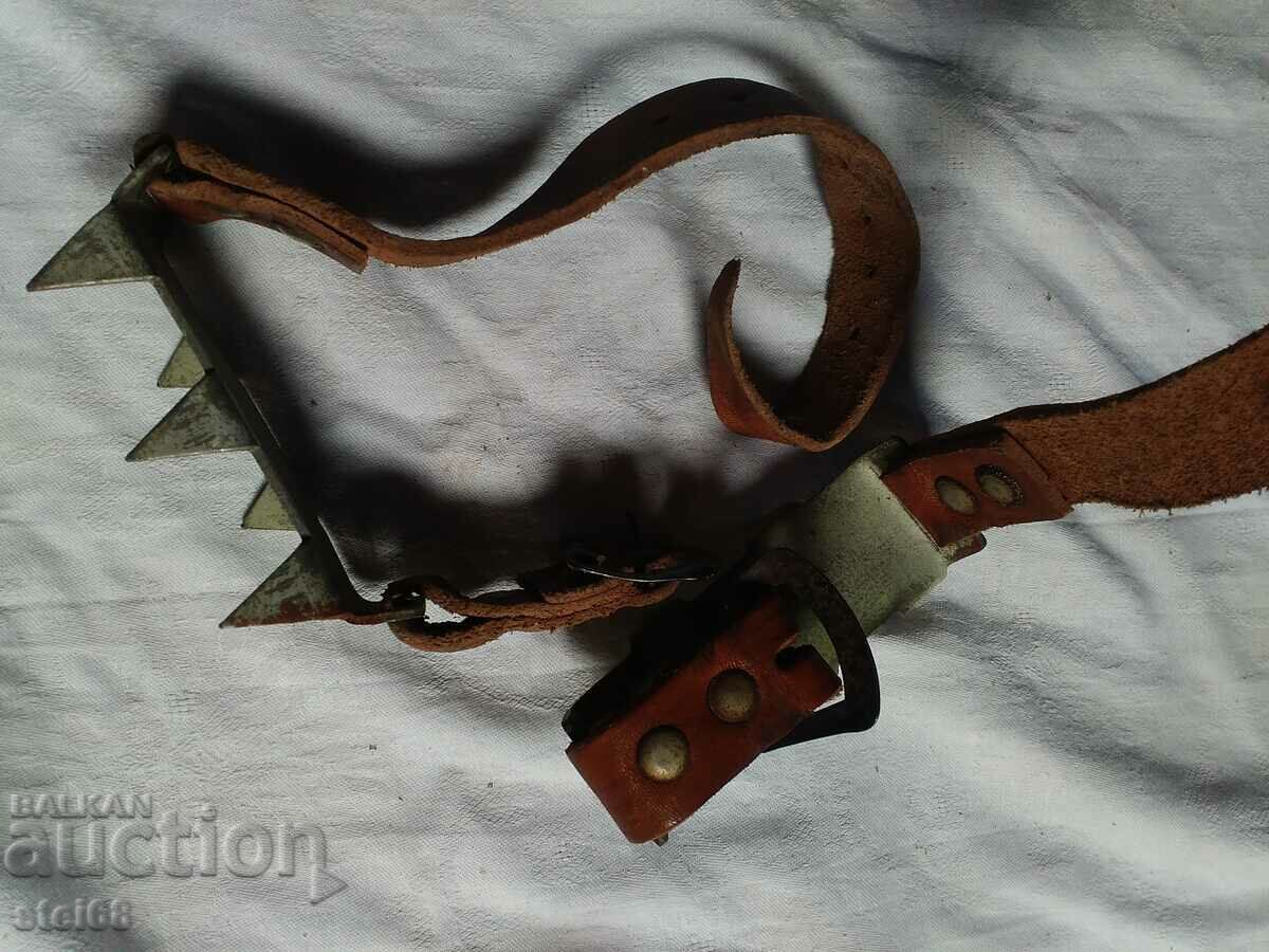 Licitație PISICI ALPINE