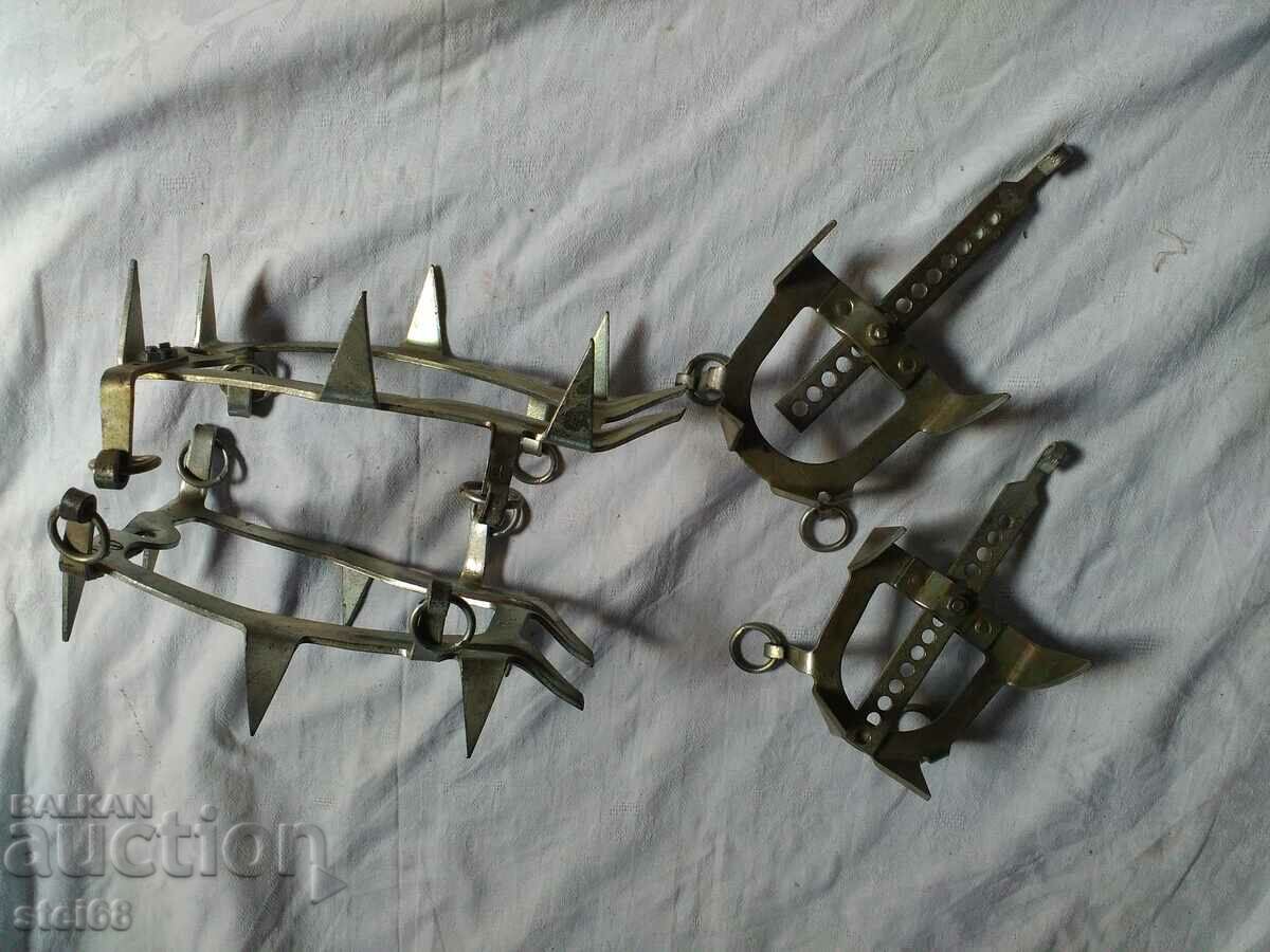 Licitație PISICI ALPINE