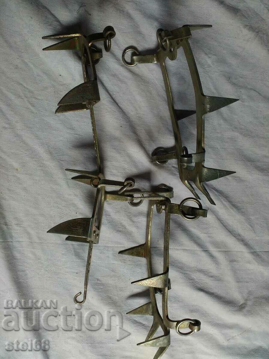 Licitație PISICI ALPINE