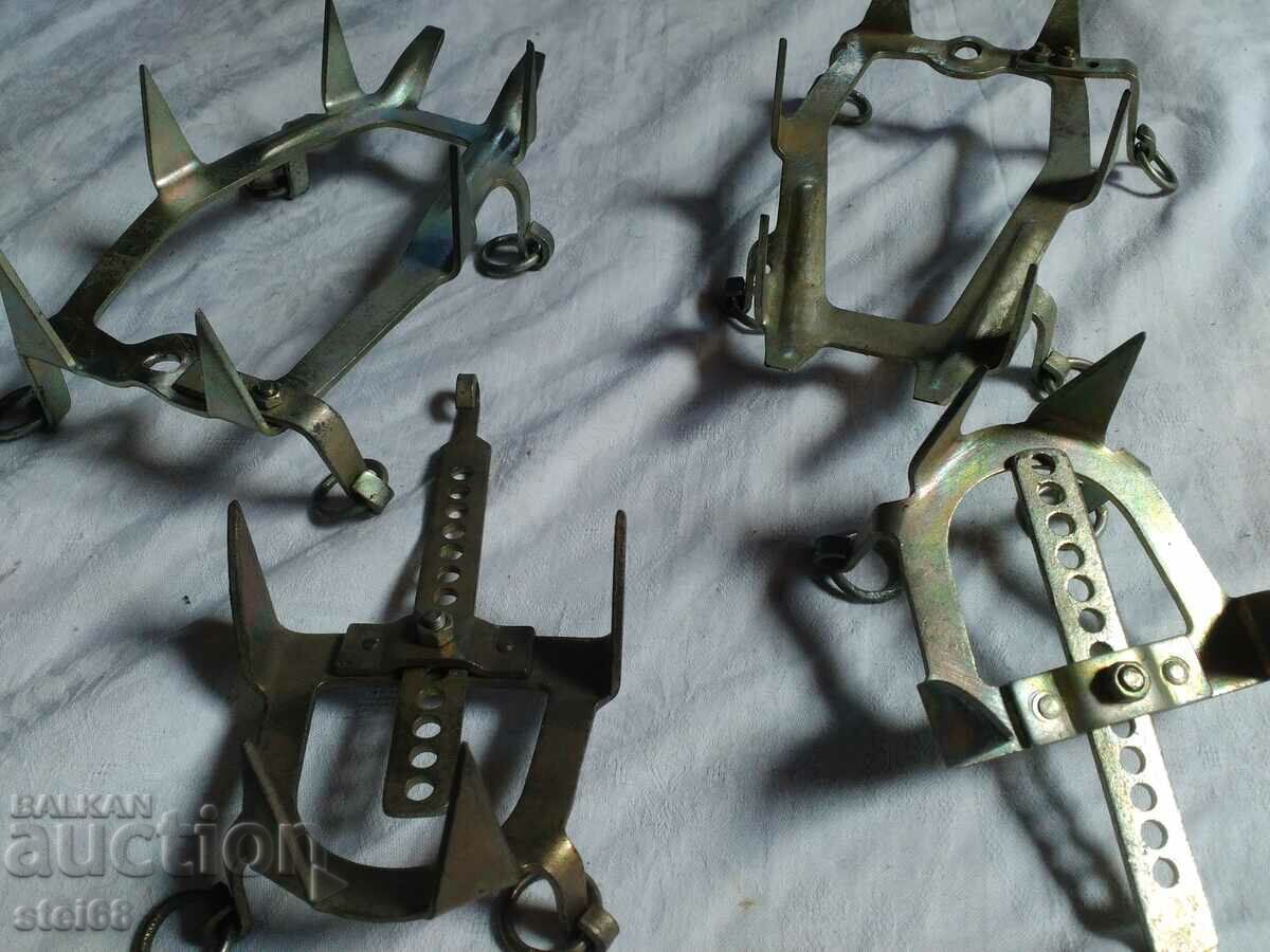 Livrarea PISICI ALPINE