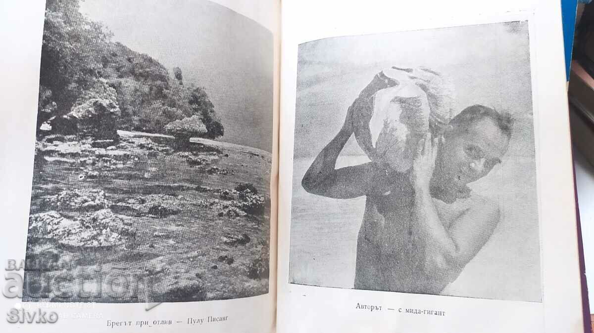 Savages Live in the West, Erik Lundqvist, many photos - 7 Savages Live in the West, Erik Lundqvist, many photos - 7