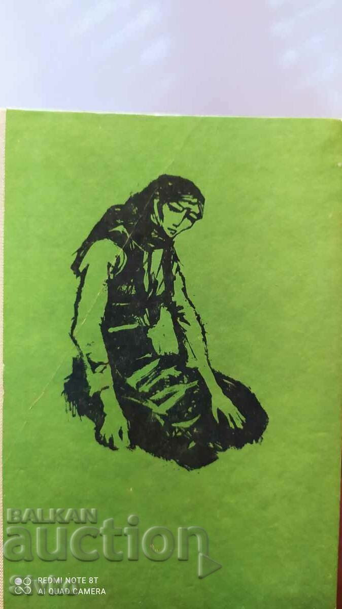 The mountain wept, a novel by Vasil Demirevski