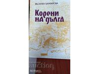 Корени на дълга, Червеният кръст в Шуменски окръг