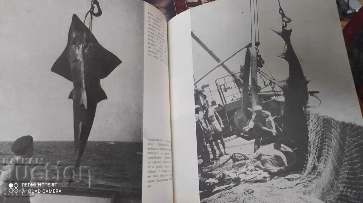 Delivery of Under the stars of the Southern Cross, Petar Kolarov, many photos