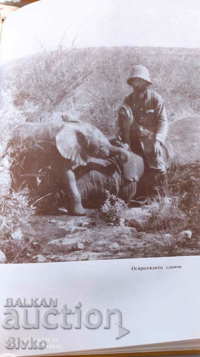 My last elephant hunt, Nikola Deliradev, many photos - 5 My last elephant hunt, Nikola Deliradev, many photos - 5