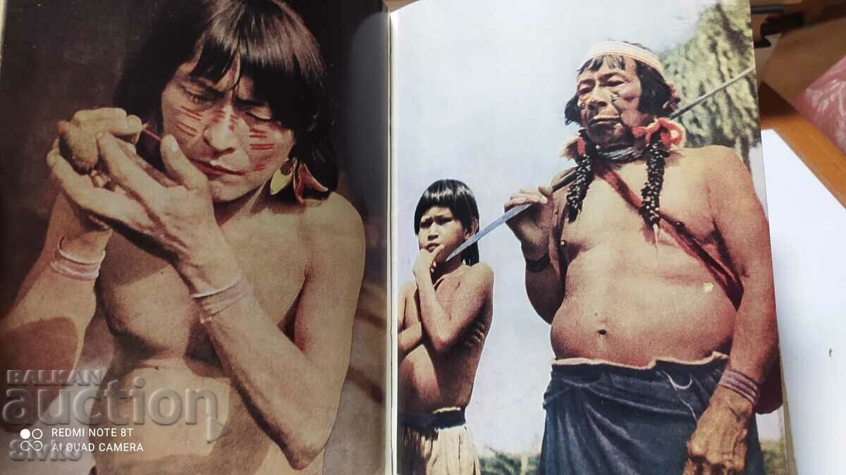 Auction Across the South Seas, lots of pictures Auction Across the South Seas, lots of pictures