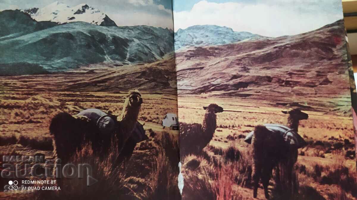 Across the South Seas, lots of pictures - 7 Across the South Seas, lots of pictures - 7