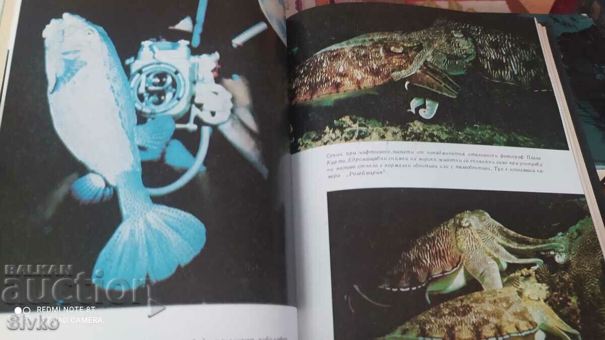 The World Under Water, Hans, Hass, first edition, many photos with price 4.59 BGN | € 2.35 The World Under Water, Hans, Hass, first edition, many photos with price 4.59 BGN | € 2.35