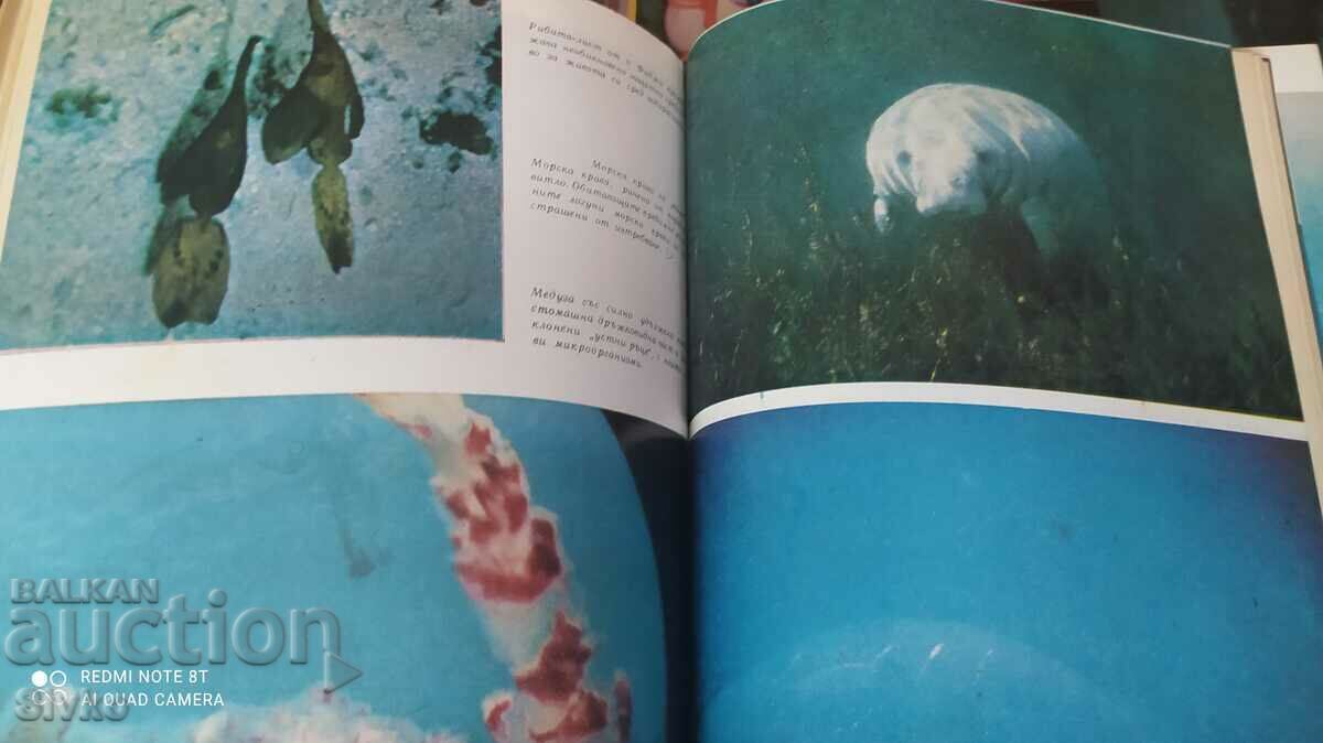 Lumea sub apă, Hans, Hass, prima ediție, multe fotografii - 5