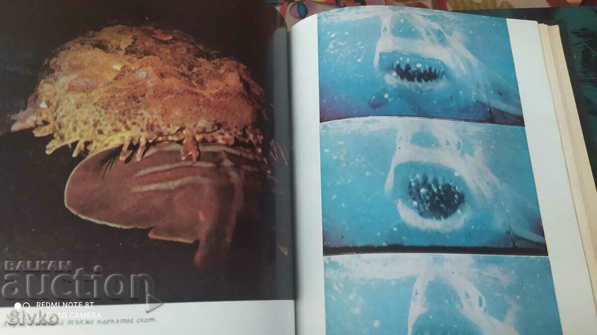 The World Under Water, Hans, Hass, first edition, many photos - 6 The World Under Water, Hans, Hass, first edition, many photos - 6