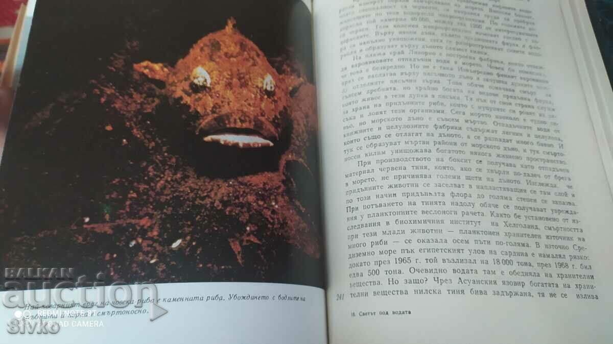 Lumea sub apă, Hans, Hass, prima ediție, multe fotografii - 7