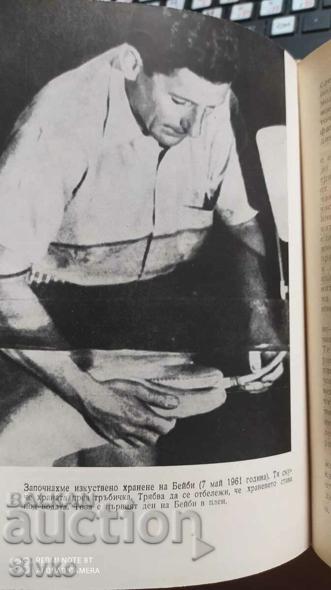 Livrarea Omul și delfinul, John Lilly, multe poze Livrarea Omul și delfinul, John Lilly, multe poze