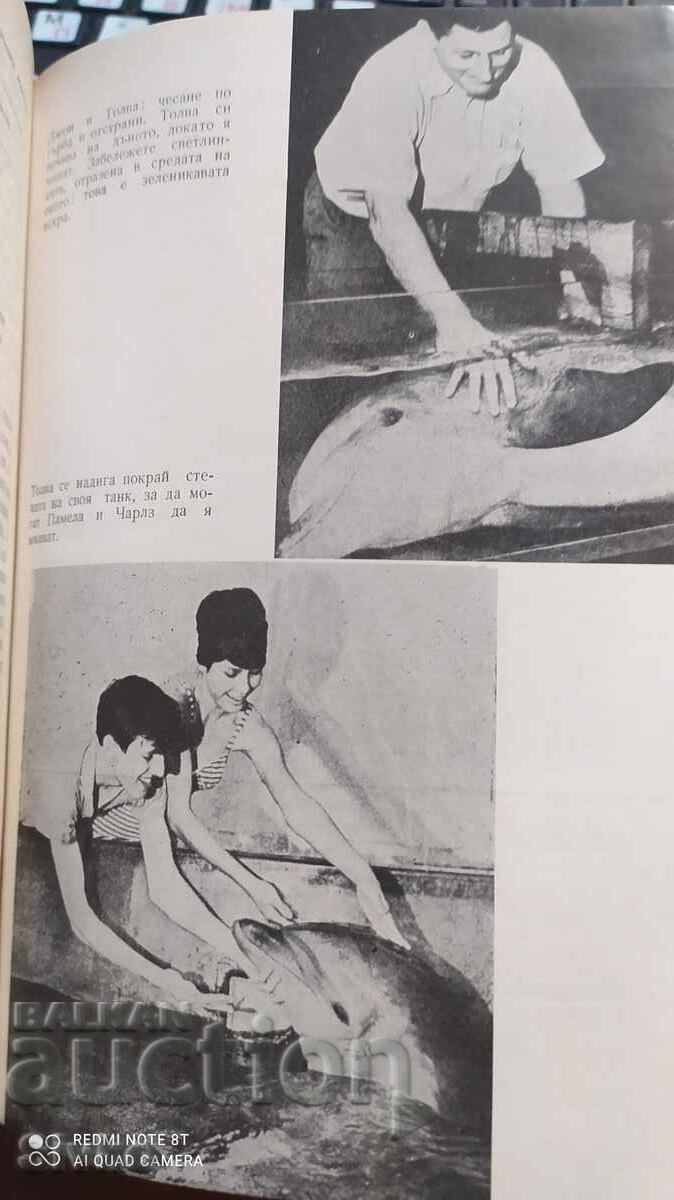 The Man and the Dolphin, John Lilly, many pictures - 5 The Man and the Dolphin, John Lilly, many pictures - 5