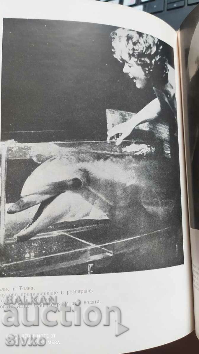 The Man and the Dolphin, John Lilly, many pictures - 6 The Man and the Dolphin, John Lilly, many pictures - 6