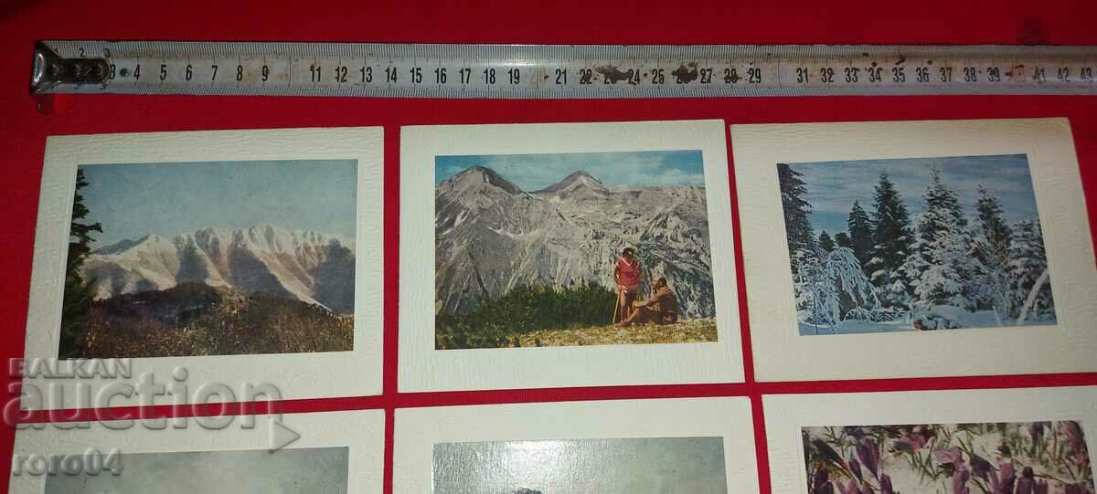 BTS - BH - LOOKS with price 17.99 BGN | € 9.20