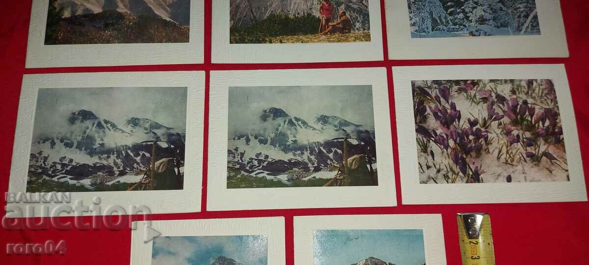 Auction  BTS - BH - LOOKS