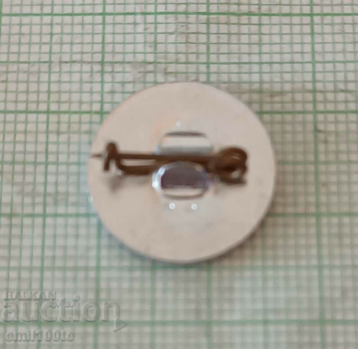 Delivery of Badge - Sofia concert Delivery of Badge - Sofia concert