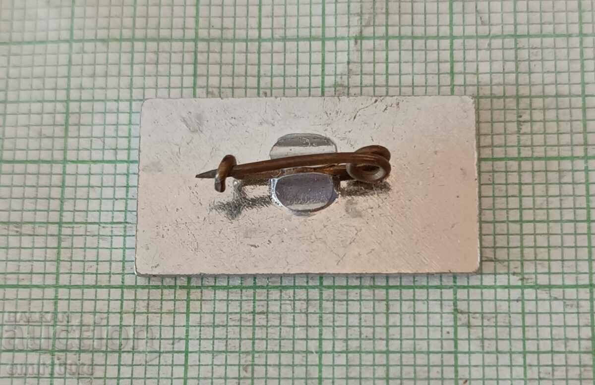 Delivery of Badge - Despred DESPRED