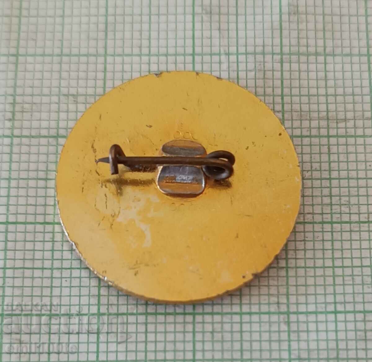 Delivery of Badge - BSP District Council, Iskar Sofia region Delivery of Badge - BSP District Council, Iskar Sofia region