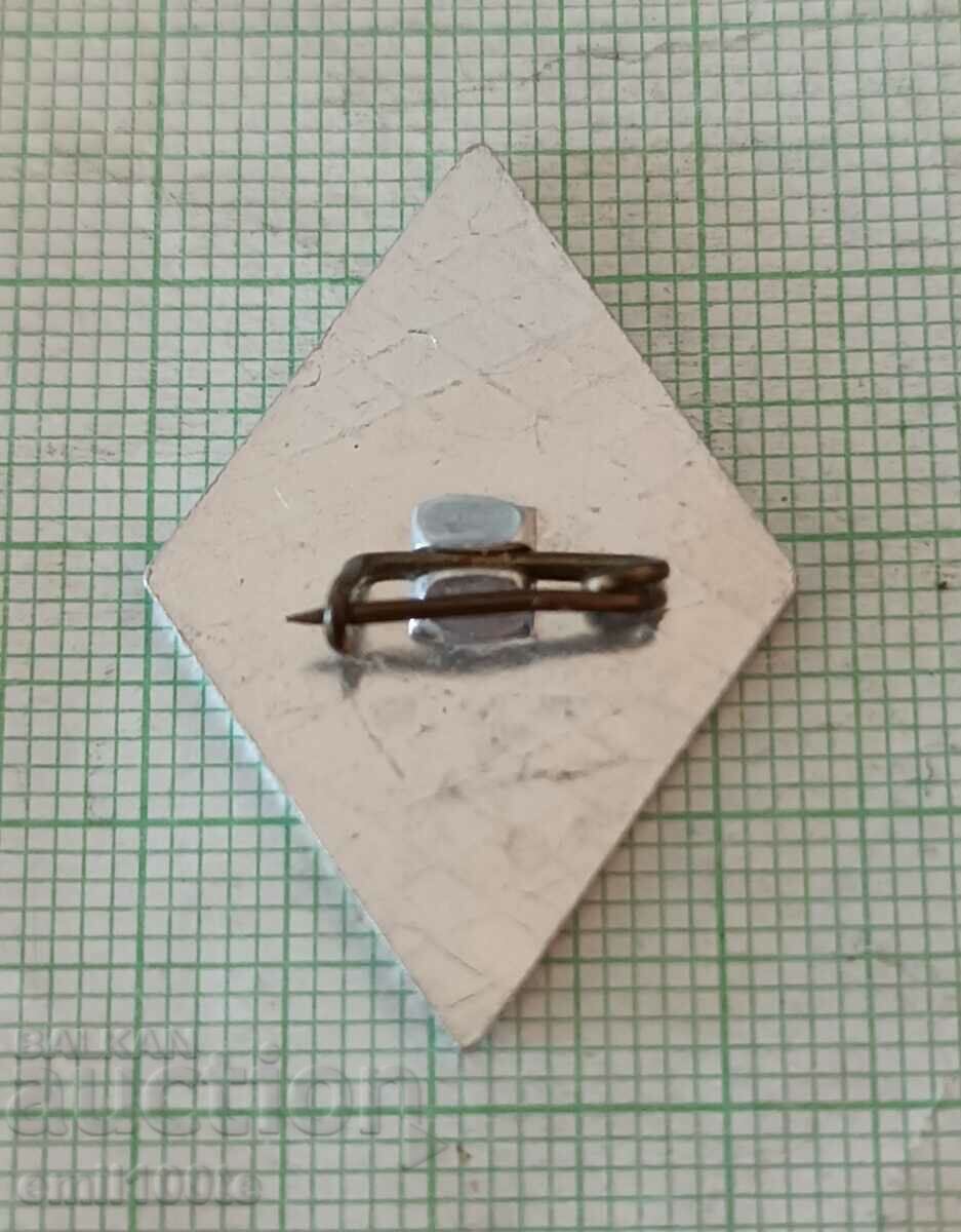 Delivery of Badge - TNTM Ministry of Interior Delivery of Badge - TNTM Ministry of Interior