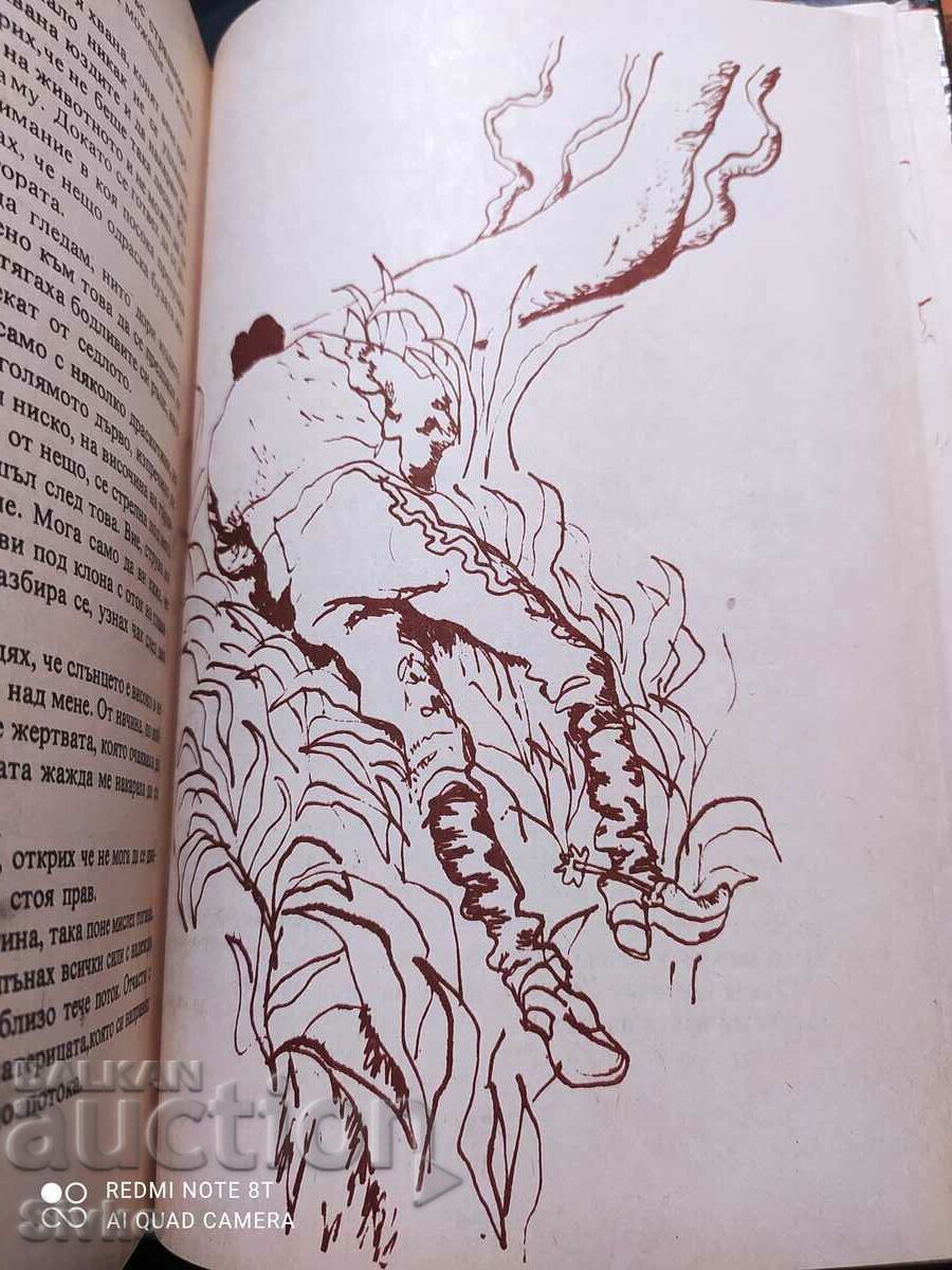 The Headless Horseman, Mine Read, many illustrations - 7