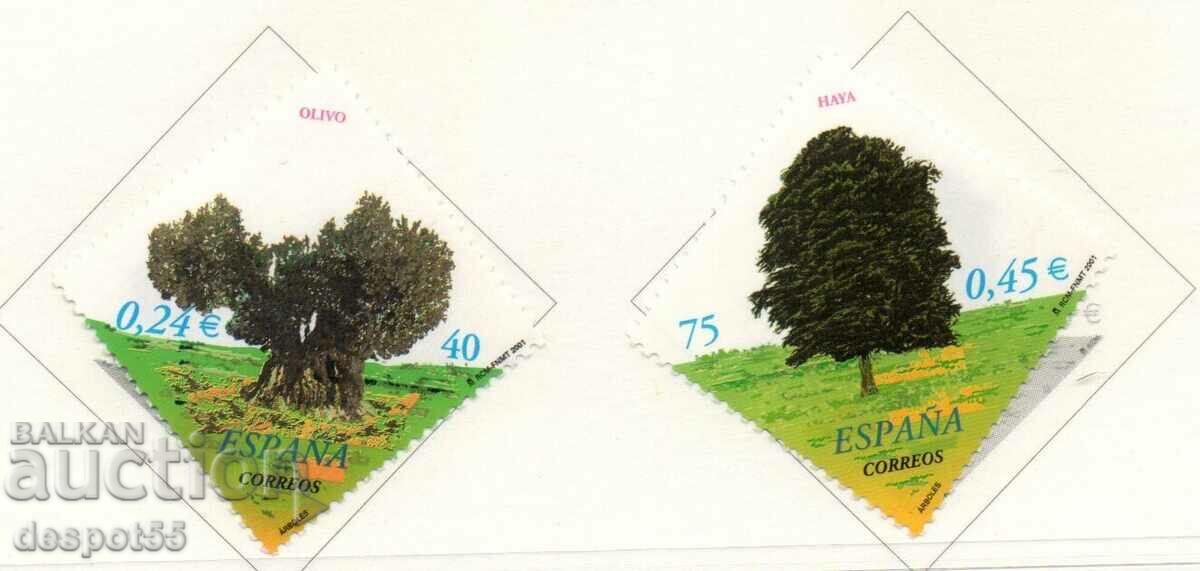 2001. Spain. Trees.