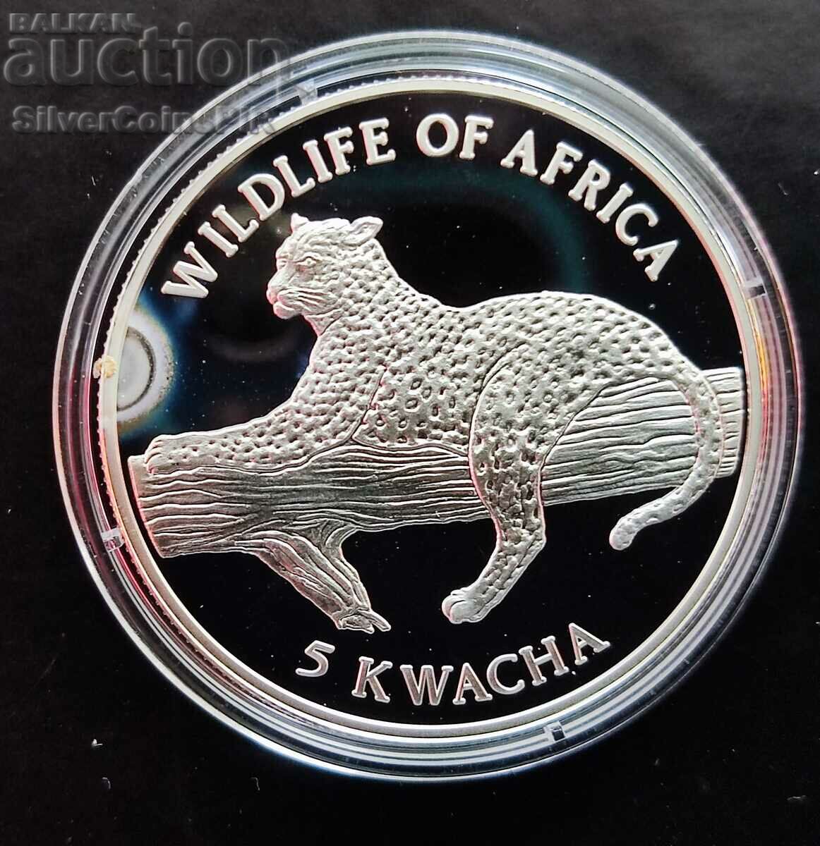 Argint 5 Kwacha Leopard 1997 Malawi