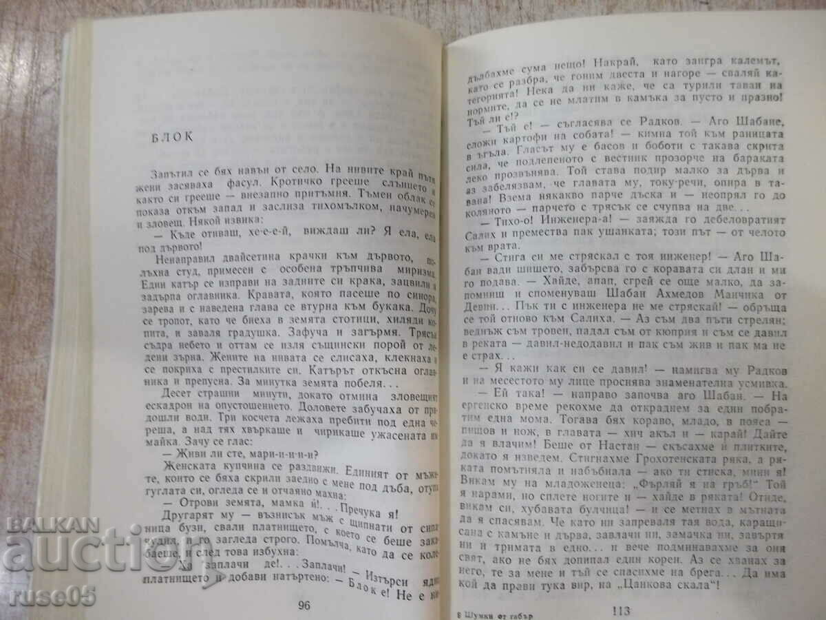 Delivery of Book "Shumki ot gabar - Nikolay Haitov" - 340 pages. Delivery of Book "Shumki ot gabar - Nikolay Haitov" - 340 pages.