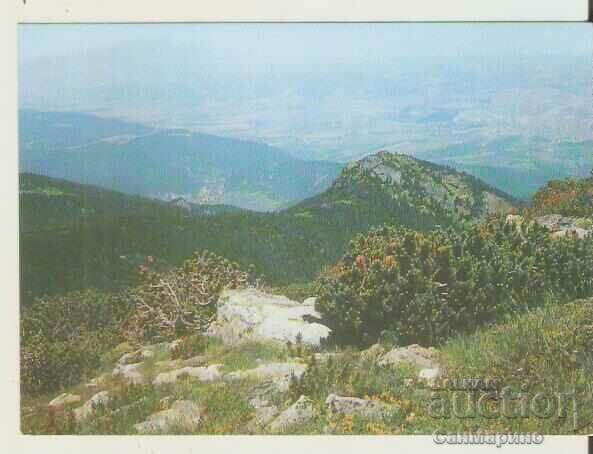 Card Bulgaria Rila Lângă cabana „Yastrebets”**