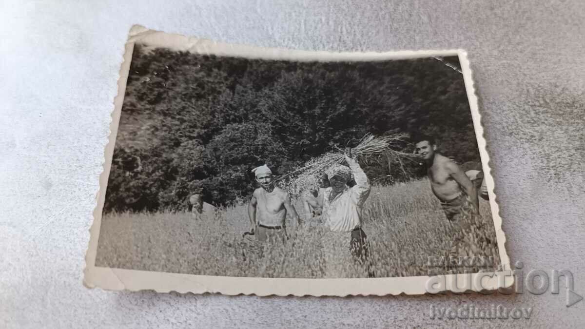 Photo A woman and two men naked to the waist in a wheat field