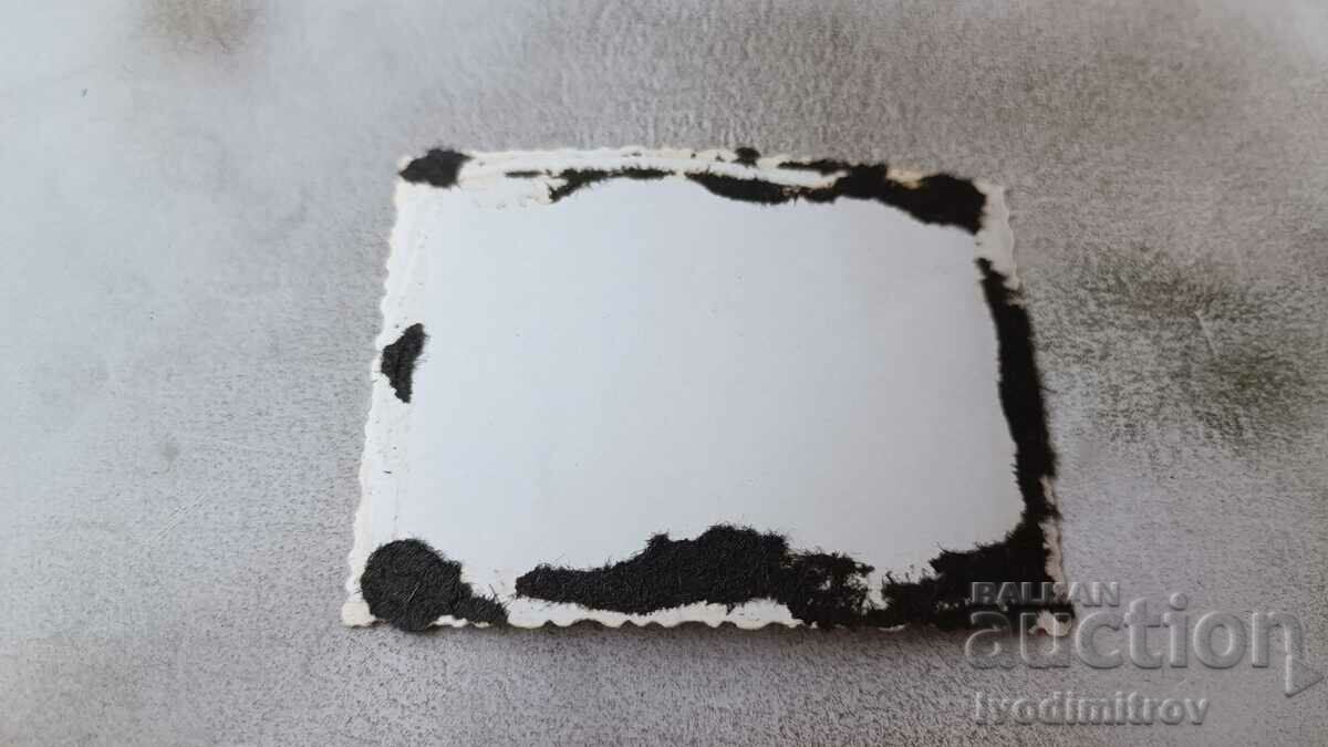 Φωτογραφία Νεαρός άνδρας και νεαρά κορίτσια με μαγιό στο νερό με τιμή 1.35 BGN | € 0.69 Φωτογραφία Νεαρός άνδρας και νεαρά κορίτσια με μαγιό στο νερό με τιμή 1.35 BGN | € 0.69