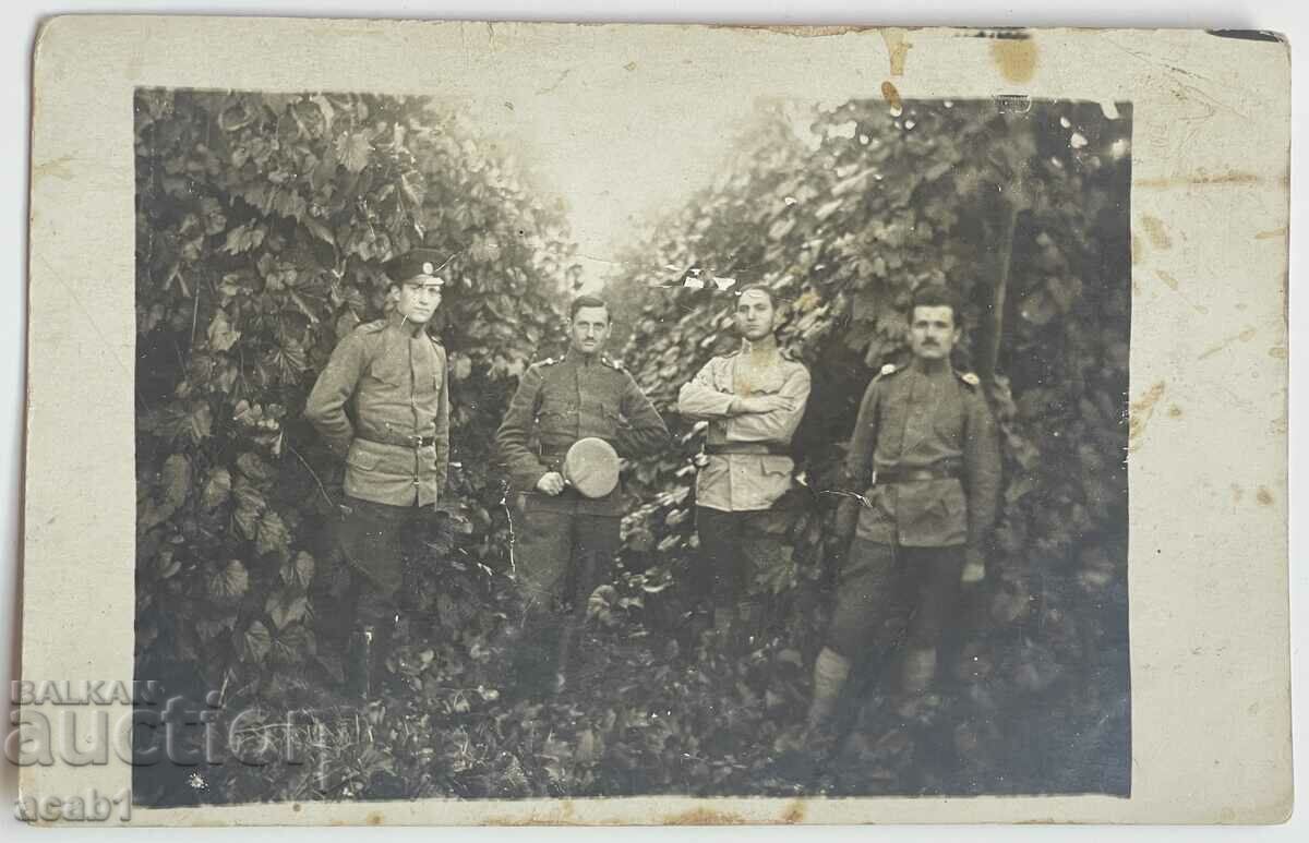 ПСВ Ниш 1917
