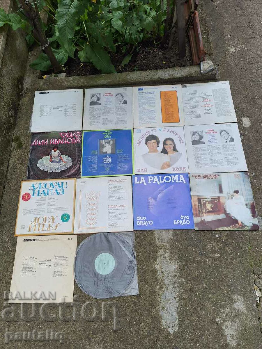 Auction LOT OF LARGE PLATES 14 PCS. Auction LOT OF LARGE PLATES 14 PCS.