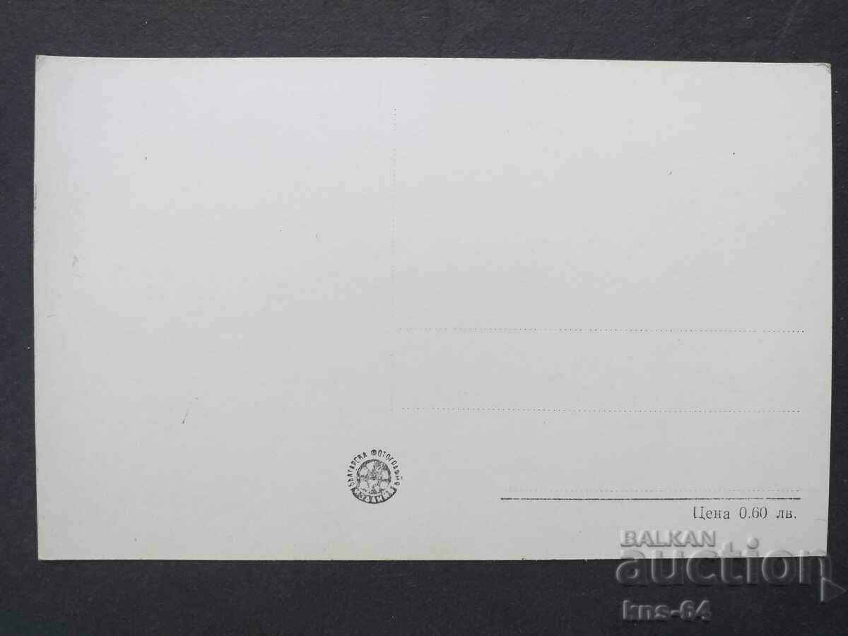 ΑΙΜΙΛΙΑ ΡΑΔΕΒΑ με τιμή 1.50 BGN | € 0.77 ΑΙΜΙΛΙΑ ΡΑΔΕΒΑ με τιμή 1.50 BGN | € 0.77