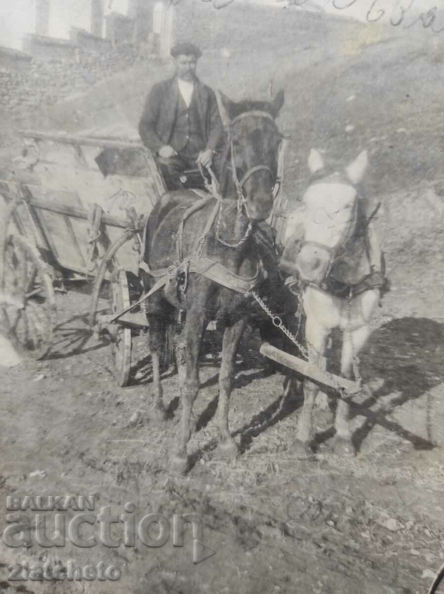Auction Old photo Kingdom of Bulgaria - Auction Old photo Kingdom of Bulgaria -