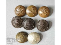 Kingdom of Bulgaria lot 8 buttons Officer's uniform