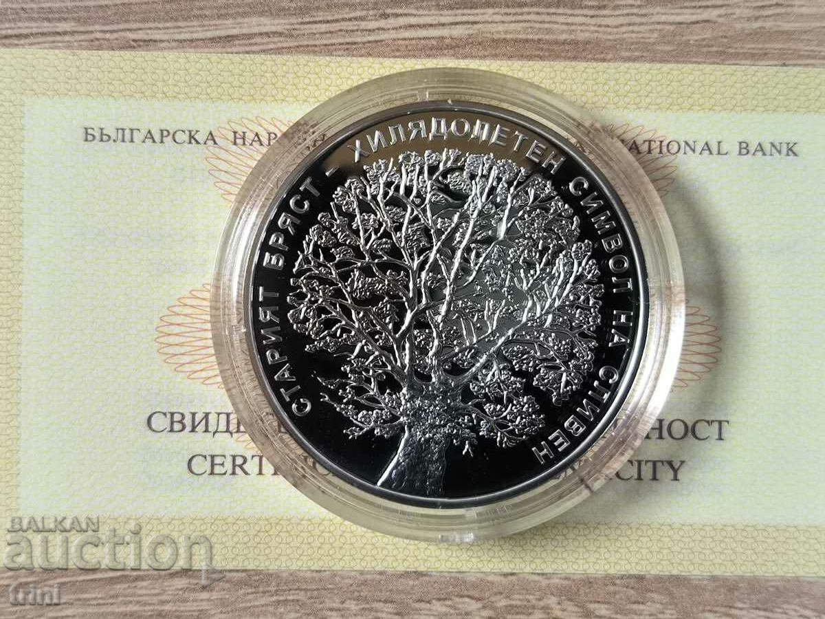 10 BGN 2018 The Old Elm στο Sliven 10 BGN 2018 The Old Elm στο Sliven