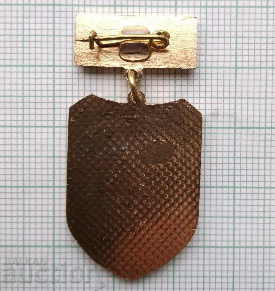 Auction 15911 Badge - BNA Warrior Athlete Auction 15911 Badge - BNA Warrior Athlete