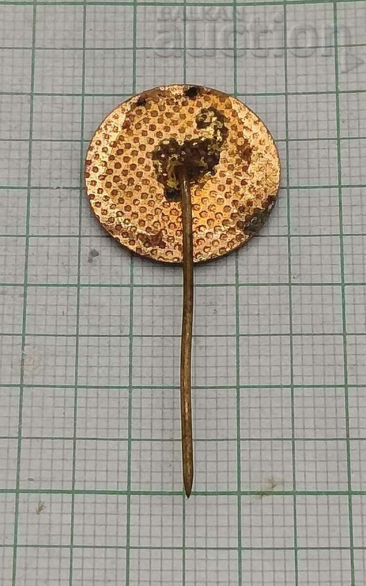 TRAINING SAILING SHIP "ASSEN" ENAMEL BADGE with price 5.00 BGN | € 2.56