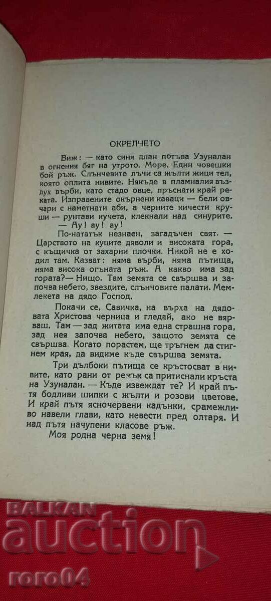 RYE - ANGEL KARALIYCHEV - MODERNISM - RRR - 5 RYE - ANGEL KARALIYCHEV - MODERNISM - RRR - 5