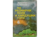 On turbulent fields and haidushka forests, Hristo Sheinov (10.5)